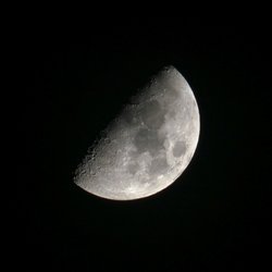 P1000054-3-1